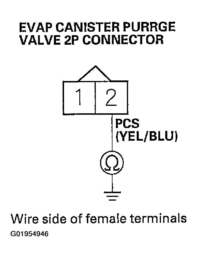 G01954946