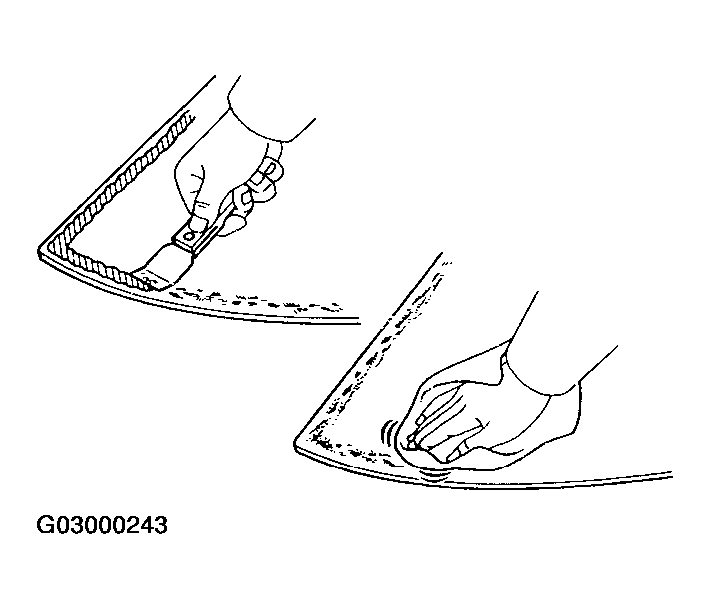 G03000243