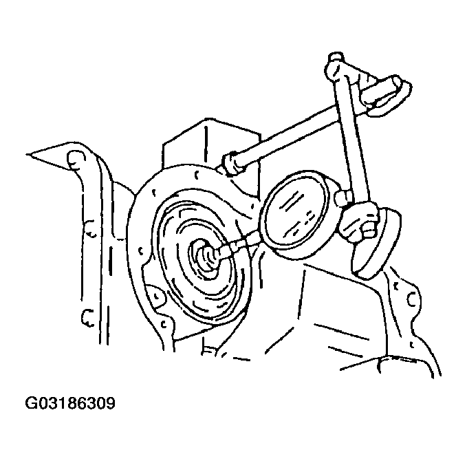 G03186309