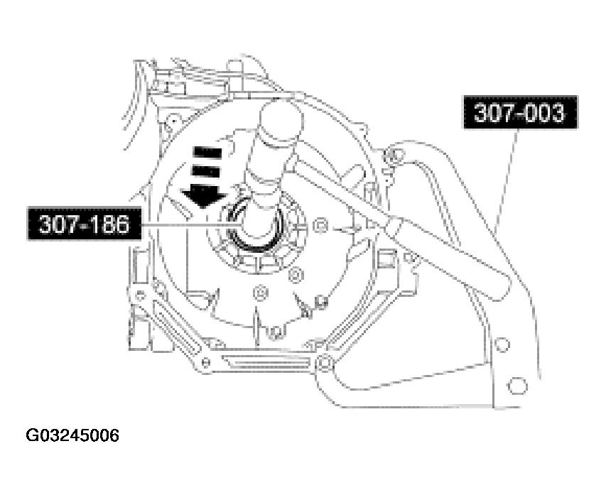 G03245006
