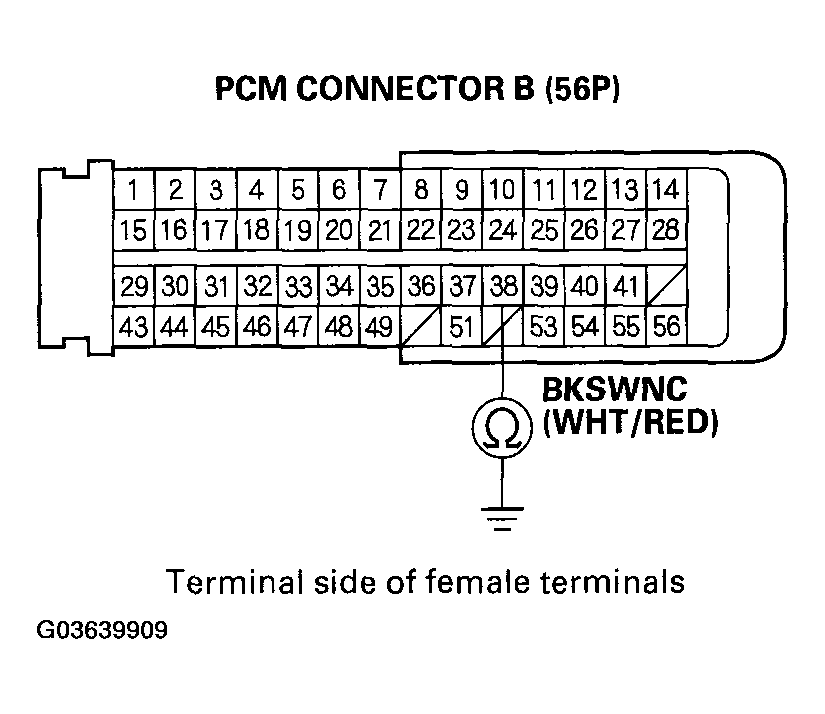 G03639909