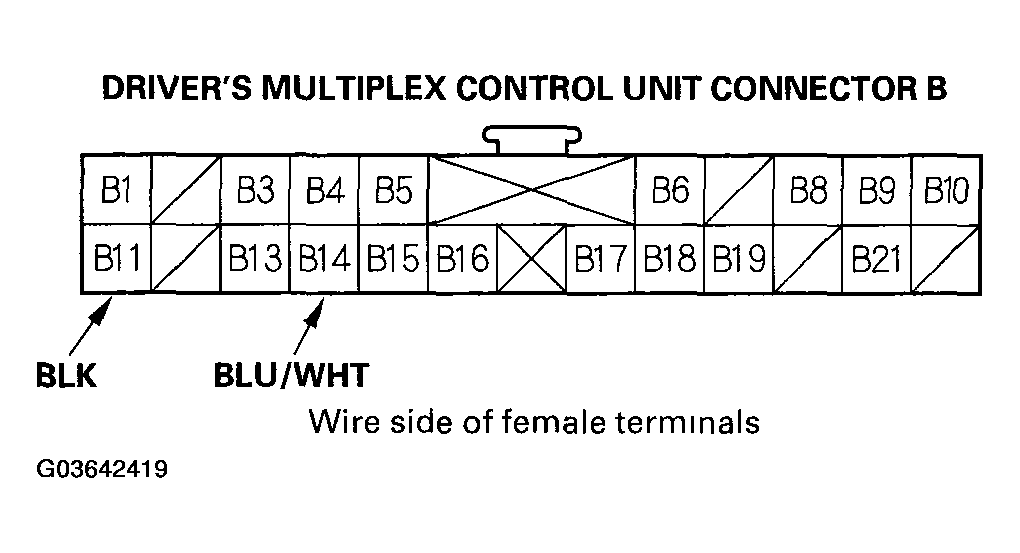 G03642419