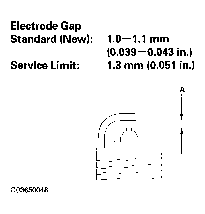 G03650048