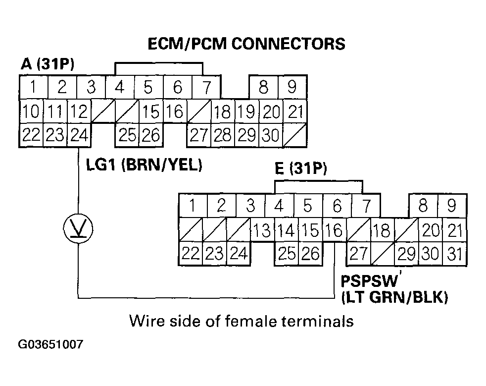 G03651007
