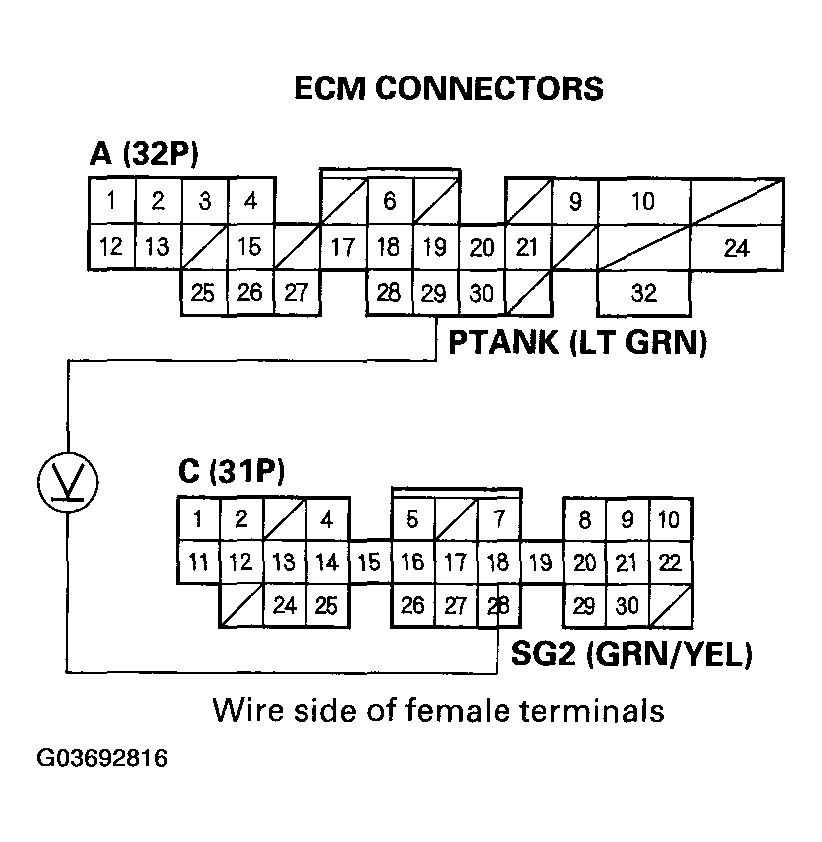 G03692816