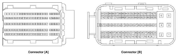G13055510