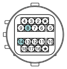 G13361941