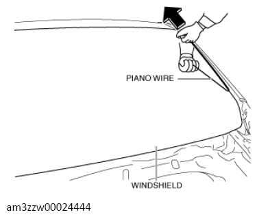 G13560186