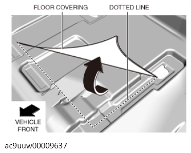 G13569833