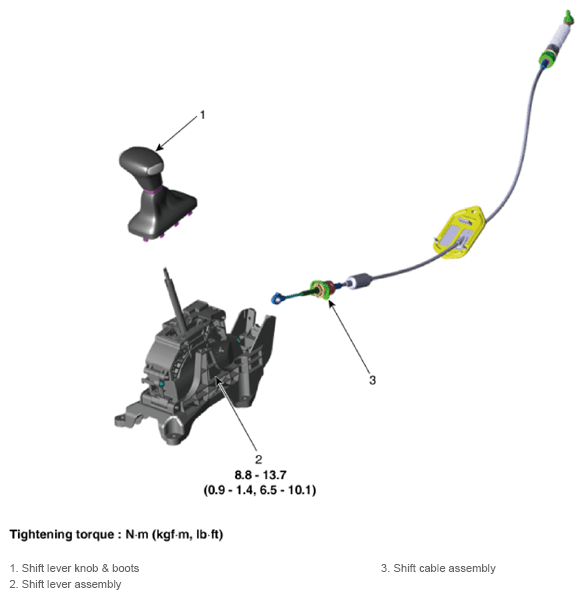 G13704824